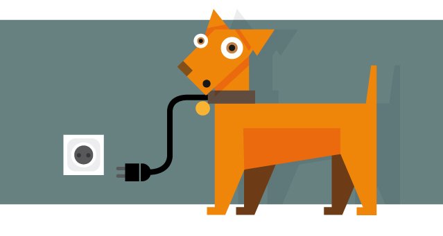 Collar eléctrico perros ¿Es aconsejable? simiperroHABLARA.com