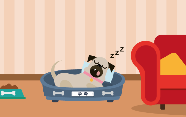 Cómo duermen los perros? | SimiperroHABLARA.com